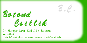 botond csillik business card